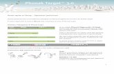 Phonak Target 3 - phonakpro.com · Qui sono inoltre disponibili tutti gli apparecchi acu- ... tempo reale la curva di risposta dell’apparecchio ... CROS ottimizzeranno la corretta