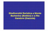 Biodiversità floristica a Monte Barberino (Bobbio) e a Rio ... · utilizzata la Flora d’Italia (Pignatti, 1982) e altri lavori specifici. • La flora (Pteridofite-Gimnosperme-Angiosperme)