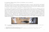 L' “ombra” nelle tombe di Deir el-Medina: una revisione? · costitutiva della loro persona secondo la concezione antropologica egizia. ... La spiritualità dell'antico Egitto,