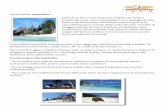 Destinazione: Seychelles…. - girovacanzeviaggi.itgirovacanzeviaggi.it/images/girovacanze/pdf/SEYCHELLES.pdf · Destinazione: Seychelles…. Atolli di corallo e isole di granito