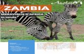 questa destinazione. - azalai.info · Lo Zambia è definito da molti viaggiatori un Paradiso per gli amanti del Safari. Il South Luangwa National Park, uno dei migliori al mondo per
