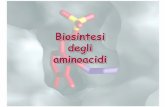 Biosintesi degli - dbcf.unisi.it · fonte di atomi di N per la sintesi di amminoacidi, purine e pirimidine, amminozuccheri e altre molecole biologiche contenenti N. La glutammina