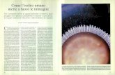 Come l'occhio umano mette a fuoco le immaginidownload.kataweb.it/mediaweb/pdf/espresso/scienze/1988_241_7.pdf · alla messa a fuoco nella fovea dell'imma-gine di un oggetto lontano.