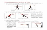 Guida agli esercizi - principi di base · 13 Guida agli esercizi - gruppi muscolari, target e sequenza Con il Revoring, puoi esercitare tutti i gruppi muscolari, in maniera analitica