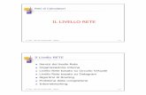 IL LIVELLO RETE - talia/aa0203/reti/reti-lezione3x2.pdf · Nodi Rete con più router. 3 D. Talia – RETI DI CALCOLATORI - UNICAL 3-5 10110 01100 01011 Approcci e Organizzazione del