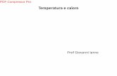 Prof Giovanni Ianne e calore.pdf · temperatura: il calore fluisce da un corpo a temperatura pi ... La costante λc si chiama coefficiente di conducibilità termica e dipende dalla