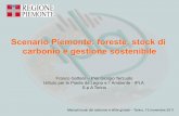 Scenario Piemonte: foreste, stock di carbonio e gestione sostenibile · Scenario Piemonte: foreste, stock di carbonio e gestione sostenibile Franco Gottero – Pier Giorgio Terzuolo