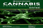 CANNABIS - Centro Explora · Attraverso lo studio degli effetti della cannabis e dei suoi derivati sul cervello e delle sue funzioni, soprattutto se consideriamo ciò che può succedere