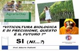 E DI PRECISIONE, QUESTOdsa3.unipg.it/wp-content/uploads/Agraria_day/Palliotti-AGRARIA-DAY... · (62.000 t l’anno) ... Trichoderma 6. Micorrize arbuscolari 7. Biochar e Zeolite 8.