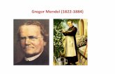 Gregor Mendel (1822-1884) - Moodle@Units · X SOLO Piante con semi verdi Piante con semi verdi Piante con semi verdi linea pura = piante che se incrociate tra loro producono solo