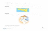 Province di Agrigento, Caltanissetta, Ragusa, Siracusa e ...portale.assimpredilance.it/uploads/allegati/Guida_stampata-3-bis.pdf · La politica di pre-adesione IPA 2007-2013 sostituisce
