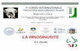 Beginners Class - Società Italiana di Rinologia Rinosinusite.pdf · LA RINOSINUSITE G.C. Pass àli Beginners Class Corso formativo di Didattica, Ricerca ed Assistenza ( primo livello