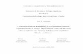 UNIVERSITÀ DEGLI STUDI DI NAPOLI FEDERICO II · Sergio Esposito Gea Guerriero Maurilio De Felice ANNO ACCADEMICO 2004-2005 . 2 ... Il ciclo del pentoso fosfato (Oxidative Pentose