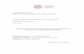 Università degli Studi di Padova - unipd.itpaduaresearch.cab.unipd.it/5010/1/Montani_PhD_thesis_2012.pdf · 5.2.4 Treatment game for the control group ... have to plan the way to