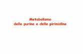 Metabolismo delle purine e delle pirimidine - sede di Tricase · metabolismo del glucosio e/o dei grassi . Esami necessari per chiarire la causa di un’iperuricemia – Acido urico