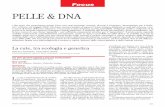 PELLE & DNA - lâ€™acne, la dermatite atopica, la psoriasi - indirettamente modulate dai geni, tutte