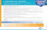 IL CARCINOMA DEL PANCREASmedia.celgene.com/.../8/Tumore-metastatico-del-pancreas.pdf · 2017-09-11 · IL CARCINOMA DEL PANCREAS Spesso il carcinoma del pancreas è diagnosticato