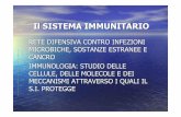 Il SISTEMA IMMUNITARIO - Terapia Occupazionale · il sistema immunitario rete difensiva contro infezioni microbiche, sostanze estranee e cancro immunologia: studio delle cellule,