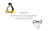 LINUX: la forza di un pinguino (e di uno GNU)pietro-baroni.unibs.it/soa/esercitazioni2004-05/StoriaGNULinux.pdf · zPoi è arrivato Linux zL’accoppiata GNU/Linux, programmi/S.O.