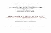 ONCOLOGIA E PATOLOGIA SPERIMENTALE - AlmaDLamsdottorato.unibo.it/5369/1/marino_flora_tesi.pdf.pdf · Elenco geni e rispettivi pathway di appartenenza identificati dalla revisione