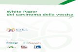 White Paper del carcinoma della vescica la Coalizione Europea dei Malati di Cancro, ha presentato il White Paper Bladder Cancer 2015 a Bruxelles il 20 aprile 2016 nel corso di un convegno