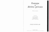 Europa privato diritto - Home page | IRIS Università ... clausole generali.pdf · prima. iieondudbile all’ampiez’a citi tema la seconda, rkon dutibile alld impLt”a ed alla