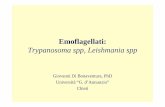 Emoflagellati: Trypanosoma spp, Leishmania spp lezione...Emoflagellati • Parassiti obbligati, colonizzano i tessuti profondi ed il sangue dell’uomo • Causano zoonosi debilitanti