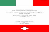 Ricerche sull'evoluzione del Lago Maggiore - cipais.org Maggiore - Rapporto 2008.pdf · ISSN: 1013-8099 Commissione Internazionale per la protezione delle acque italo-svizzere Ricerche