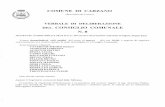  · Deliberagione del Consiglio comunale n. 08 dd. 11 marzo 2010 OGGETTO: Vendita della p.f. 591/2 in C.C. di Carzano di proprietà comunale al Signor Degan Enzo