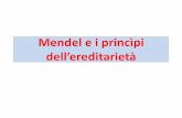 Mendel e i princìpi dell’ereditarietà - lumsa.it 211 Mendel e i princìpi dell... · Gregor Mendel formulò le leggi di base dell’ereditarietà Prima di Mendel si credeva all’ereditarietà