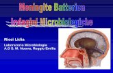 ricci LG meningite - asmn.re.it · • interventi neurochirurgici ... •Mycobacterium tuberculosis