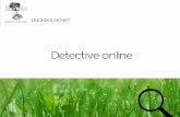 Detective online - giornalistinellerba.org · Le D e le W (secondo il protocollo Osint, open source intelligence, della Nato) Le D sono le fasi dell’investigazione: Discovery (individuazione