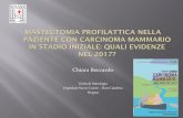 MASTECTOMIA PROFILATTICA NELLA PAZIENTE CON …web2.sacrocuore.it/oncologia/canoa2017/01_04_2017/13 Boccardo... · MASTECTOMIA PROFILATTICA NELLA PAZIENTE CON CARCINOMA MAMMARIO IN