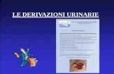 Le derivazioni urinarie - lucibello.me.itlucibello.me.it/files/Lucibello_Derivazioni-urinarie.pdf · “DERIVAZIONE URINARIA IDEALE” Parametri di scelta delle derivazioni urinarie