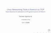 Linux Networking Tools e Esercizi ... - didawiki.di.unipi.itdidawiki.di.unipi.it/lib/exe/fetch.php/lpr-b/lpr-b-08/06-lab-lpr-tcp.pdf · Linux Networking Tools e Esercizi su TCP Esercitazione