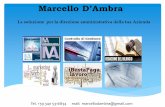 Marcello D’Ambra La Soluzione Aziendale per lo sviluppo ... · Consulenza in materia di gestione del web marketing: analisi e formulazione di una strategia di web marketing, formulazioni