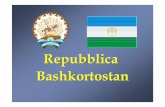 Repubblica Bashkortostan e ’situata nel centro della ... · BC=6/35“Sull’attivita degli investimenti stranieri nella Repubblica Bashkortostan”organizzazioni commerciali con