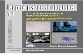 Il volume 11 della serie monografica MAPPE ... · si Convegni e Corsi di formazione in Microbiologia sui temi della diagnostica parassi-tologia tenutesi a Napoli, Grosseto, Rieti,