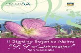 Il Giardino Botanico Alpino - Veneto Agricoltura Giardino GG... · superﬁciali, poco evoluti e tipicamente calcarei, senza dubbio considerato il tipo di bosco più diffuso nell’area