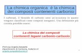 La chimica organica è la chimica dei composti contenenti ... · La chimica dei composti contenenti legami carbonio-carbonio La chimica organica è la chimica dei composti contenenti
