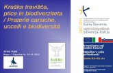 ptice in biodiverziteta / Praterie carsiche, uccelli e ... · Kraška travišče, ptice in biodiverziteta / Praterie carsiche, uccelli e biodiversitá Projekt BioDiNet / Progetto