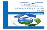 BILANCIO CONSOLIDATO - cidiu.to.it · CIDIU S.P.A. Bilancio al 31/12/2018 Bilancio XBRL 6 Rendiconto finanziario consolidato, metodo indiretto Importo al 31/12/2018 Importo al 31/12/2017