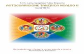 T.Y.S. Lama Gangchen Tulku Rinpoche AutoguArigione ... · mentre recito il mantra, compio il mudra del relativo Guaritore davanti a ogni chakra (seguendo l’ordine da 1 a 5). Al