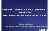 , DIABETE E IPERTENSIONE : OBESITA I MATTONI DELLE ...centralelatte.torino.it/wp-content/uploads/2014/03/2013grasso.pdf · Dislipidemia Ipertensione arteriosa •Diabete Mellito di