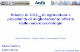 Bilanci di CO2eq in agricoltura e possibilità di ... · temi legati al global warming; ... upgrading del biogas →bio-metano. Strippaggio dell’ammoniaca nella vasca di stoccaggio