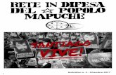 Bolleino n. 5 - Dicembre 2017 TM 1 - roundrobin.info · 2 3 Rete Internazionale in difesa del popolo Mapuche Siamo una Rete aniautoritaria ed auto-noma, solidale al popolo Mapuche