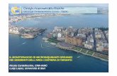 Consiglio Nazionale delle Ricerche - peacelink.it · Le ricerche dell’IAMC per lo studio della contaminazione dell’area marina di Taranto Ø Individuazione delle sorgenti di contaminazione