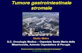 Tumore gastrointestinale stromale - med.unipg.ittecnlab/Materiale Didattico/2016/Oncologia Medica... · Tumore gastrointestinale stromale Giulio Metro S.C. Oncologia Medica –Ospedale