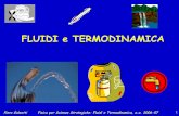 FLUIDI e TERMODINAMICA - suiss.unito.it · Fisica per Scienze Strategiche: Fluidi e Termodinamica, a.a. 2006-07 4 Densita` ρ = m/V [kg/m3] diminuisce al crescere della temperatura