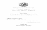 Università degli studi di Padova - FAIRfair.dei.unipd.it/wp-content/uploads/2015/07/Tesi-Arcoria.pdf · morfologiche e dimensionali delle strutture neuro-anatomiche neonatali rispetto